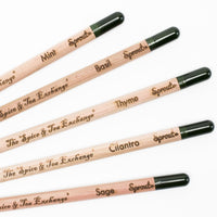 Five Herb Pencils are labeled Mint, Basil, Thyme, Cilantro, and Sage, each engraved with Sprout and The Spice & Tea Exchange—sustainable choices to pair with your garden markers.