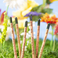 Herb Pencils: Five wooden plantable pencils, each labeled with a different herb name and featuring a seed capsule at the tip, stand upright in soil with a colorful, blurred background of flowers and greenery.