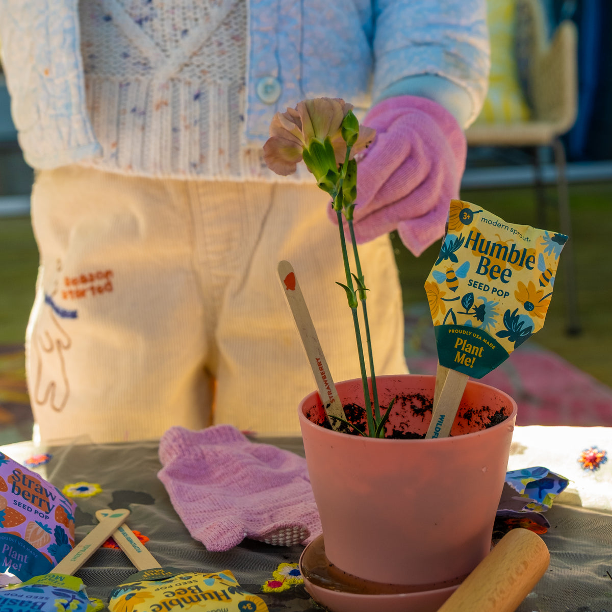 A person in a knitted sweater, corduroy pants, and pink gloves pots a flower in a pink Humble Bee Seed Pop pot. Gardening tools, Seed Pops (Strawberry, Sweet Basil, Humble Bee), non-GMO seeds, and seed packets are on the table.