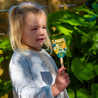 A young girl holds a Seed Pops (Strawberry, Sweet Basil, Humble Bee) gardening kit on a stick outdoors, sunlight shining and green plants behind her, ready to plant non-GMO seeds.