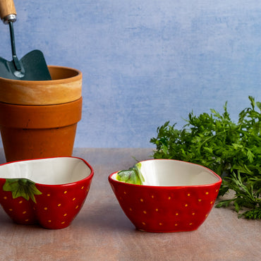 Two Strawberry Bowls surrounded by carrots and pots for plants and gardening gloves